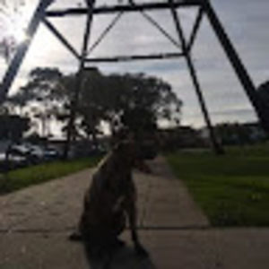 Meet your Posher, Kylie